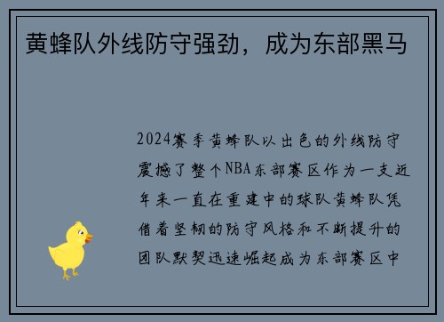黄蜂队外线防守强劲，成为东部黑马